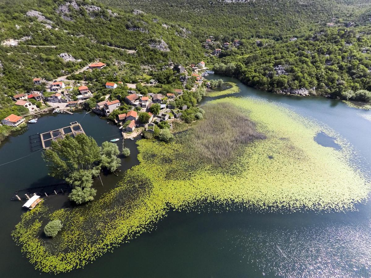 Villa Skadar Lake Karuc Экстерьер фото